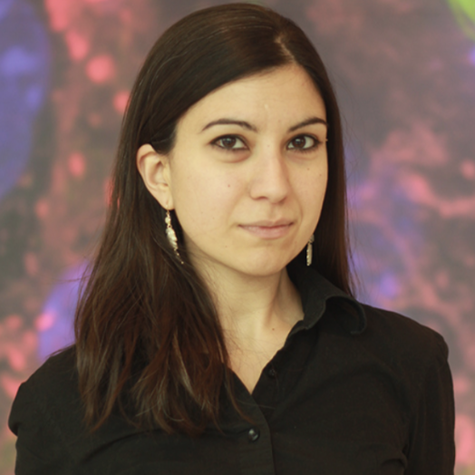 Screenshot 2025-12-02 at 11.45.03 PM